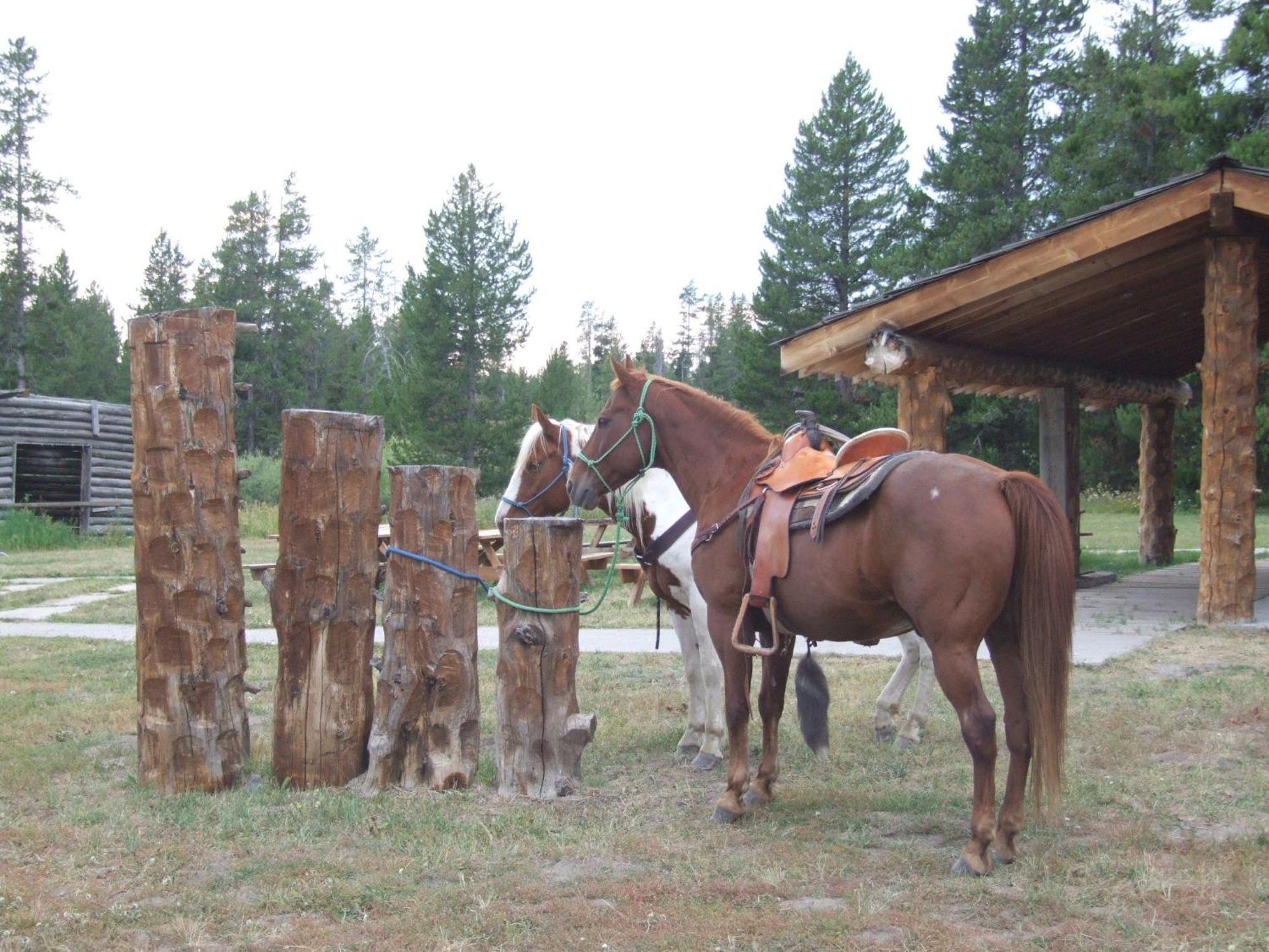 Eagle Ridge Ranch Villa Island Park Eksteriør billede